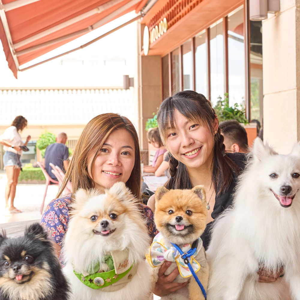 5a. Pet-friendly restaurants.jpg